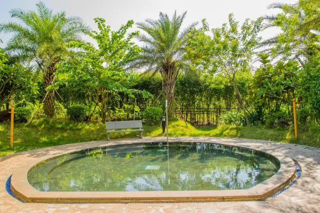 Hot Springs in Zhanjiang