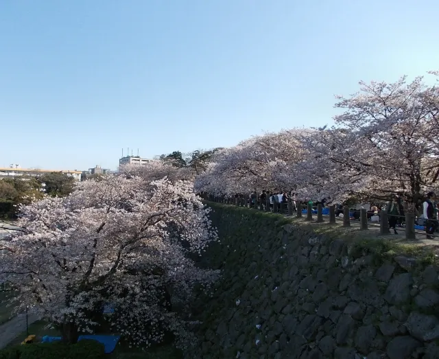 舞鶴公園