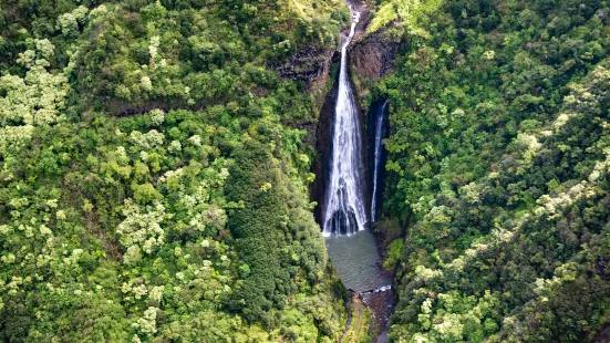 Manawaiopuna Falls (Jurassic Park Falls)