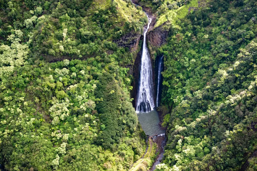 Manawaiopuna Falls (Jurassic Park Falls)