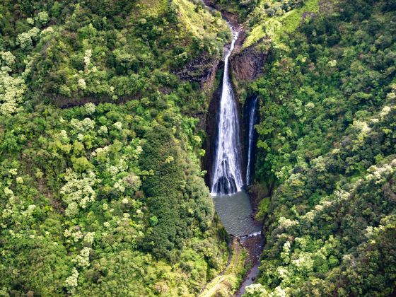 Manawaiopuna Falls (Jurassic Park Falls)