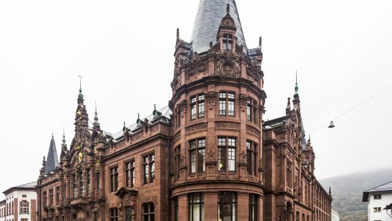 Heidelberg University Botanical Garden + Neckar River + Bismarck Square + Big Barrel + Heidelberg Castle
