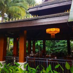 西双版纳洲际度假酒店·兰吧 User Photo