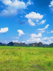 Maotang Wetland Park