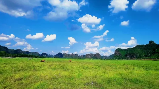 毛塘濕地公園