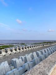 Pudong Nanhui Dongtan Wetlands