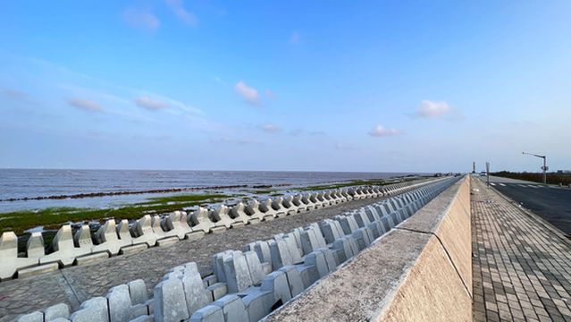 Pudong Nanhui Dongtan Wetlands