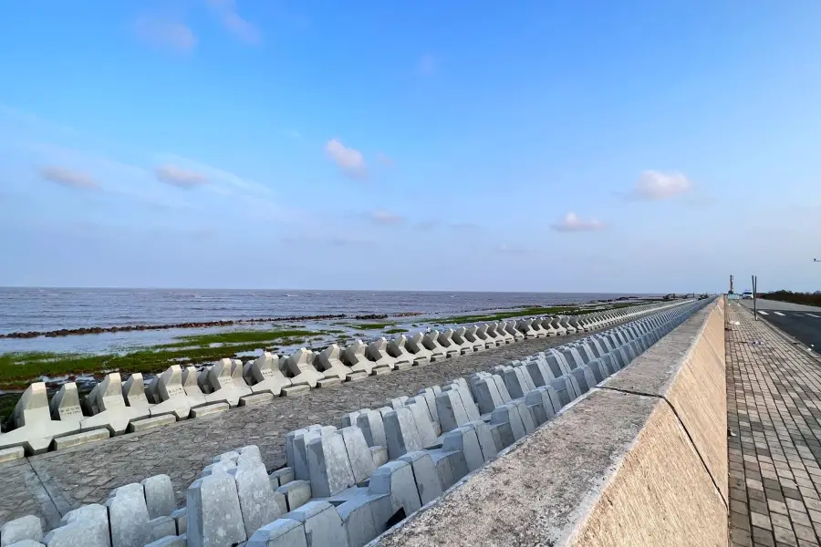 Pudong Nanhui Dongtan Wetlands