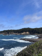 Boiler Bay State Scenic Viewpoint