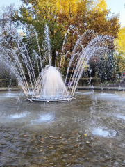 Park im. Poległych Bohaterów w Zabrzu