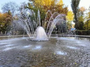 Park im. Poległych Bohaterów w Zabrzu