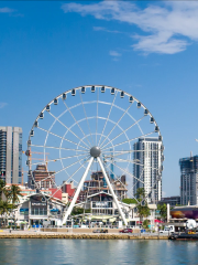 Skyviews Miami Observation Wheel