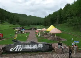 阿爾山氧心森林浴道山地摩託