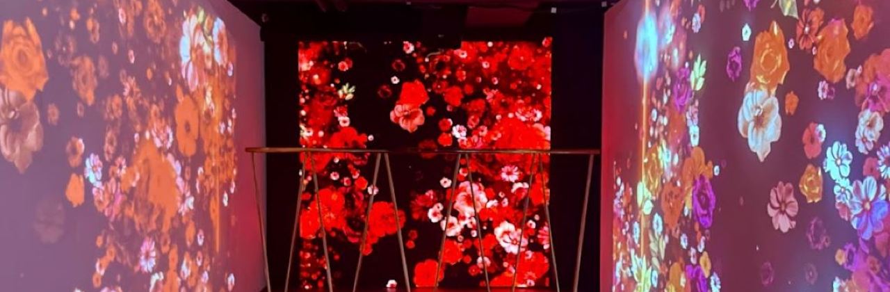 CRAZY LAND × CHEVAL