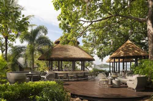 Tree Tops Signature Dining