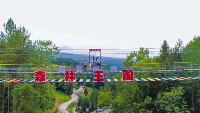 Stone Pillar Forest Kingdom Resort