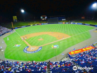 Rod Carew National Stadium