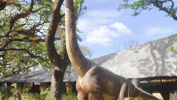 Dinosaurs Island Clark