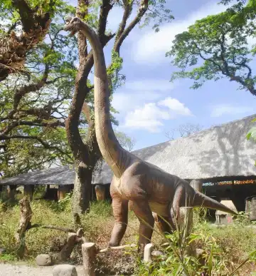Hotels near Dinosaurs Island Clark