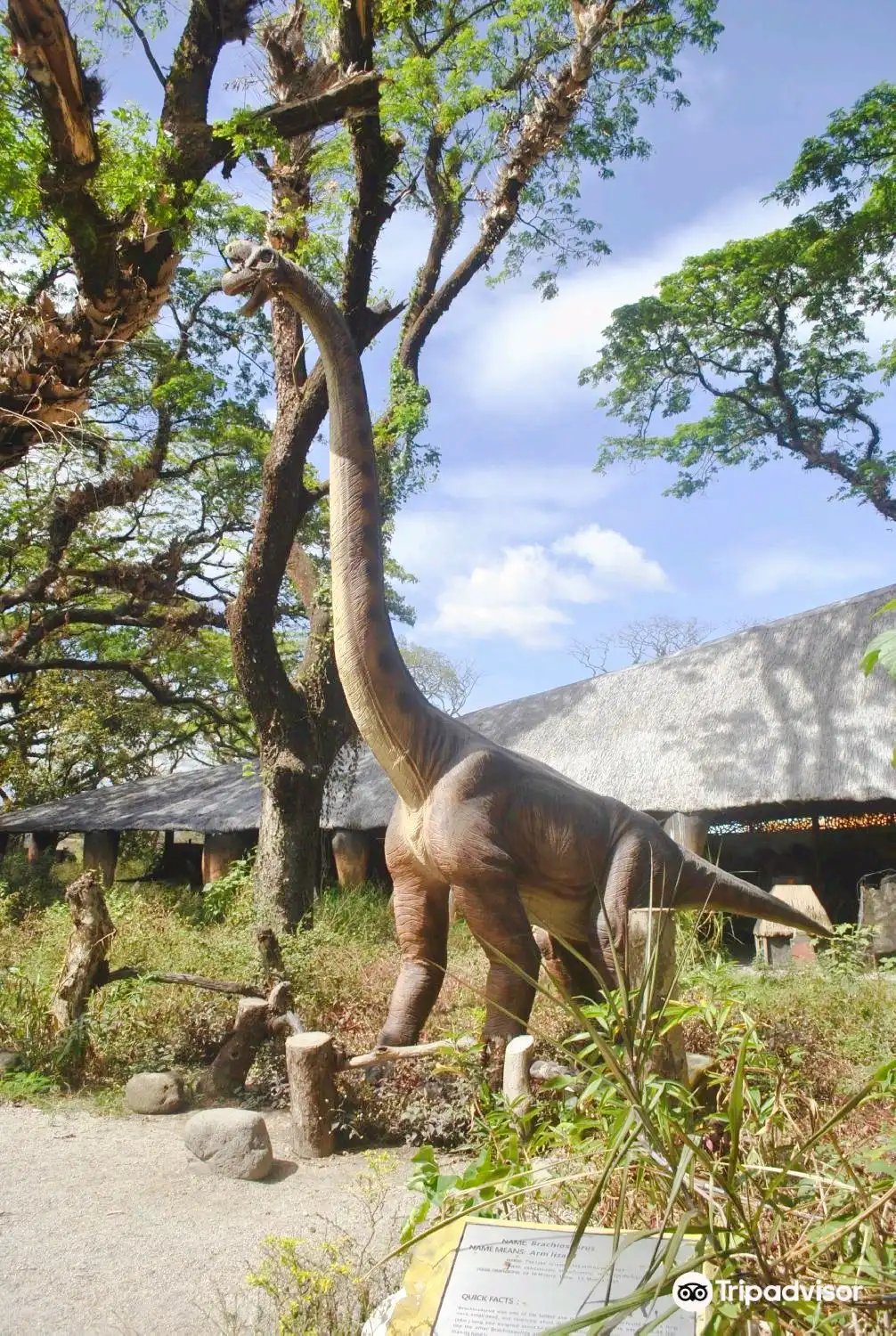 Hotels near Dinosaurs Island
