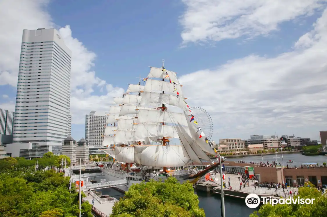 Hotel in zona Nippon Maru Memorial Park