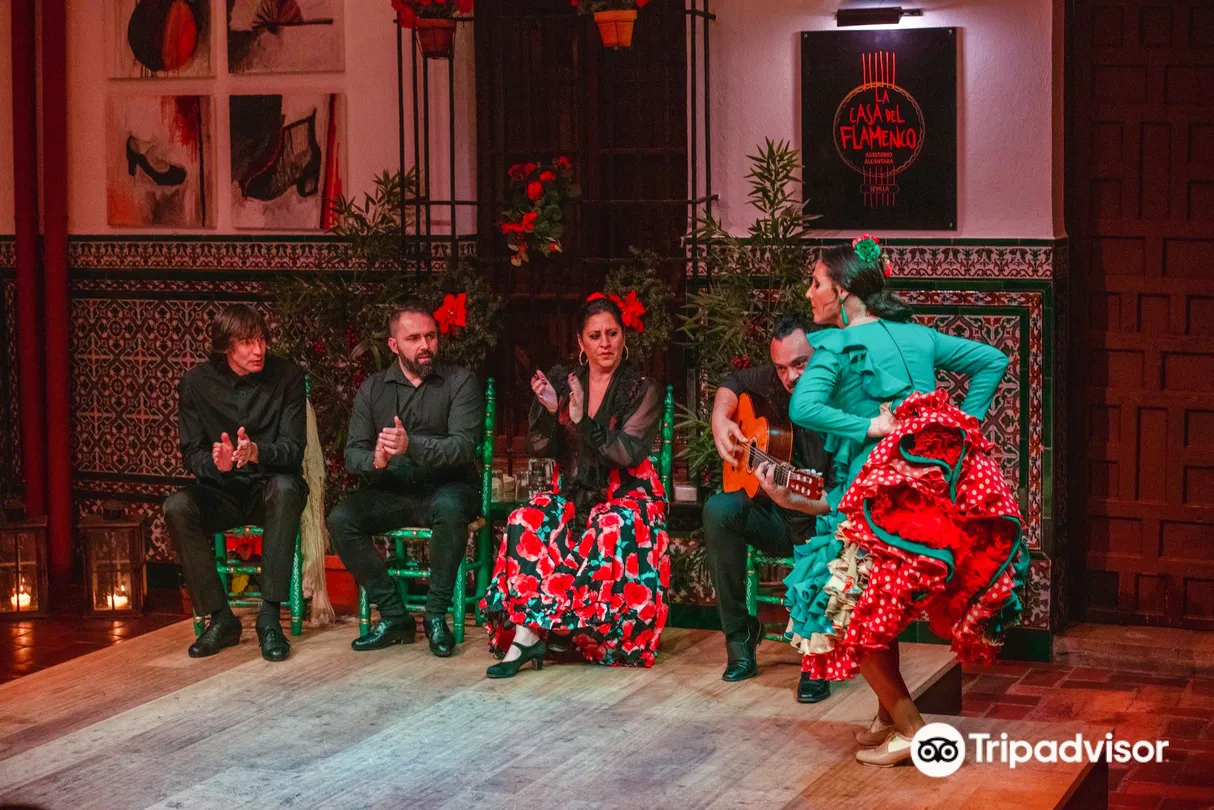 5_La Casa del Flamenco Auditorio Alcantara