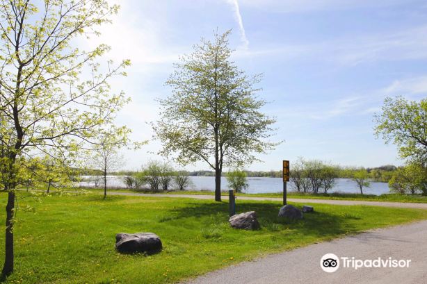 Guelph Lake Conservation Area