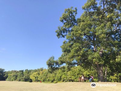 Andrew Brown Park East