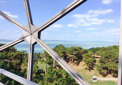 Balatonboglar