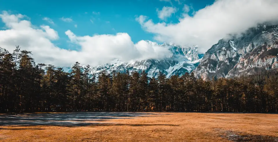5_Spruce Meadow