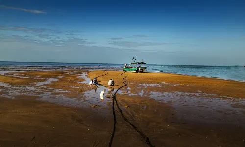 Beachcombing in Sanya