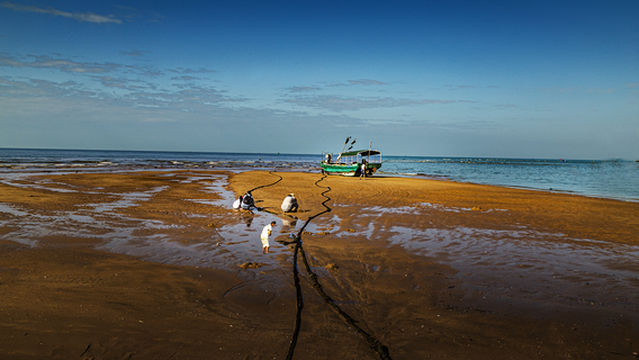 Beachcombing in Sanya