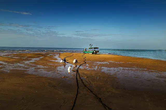 Beachcombing in Sanya