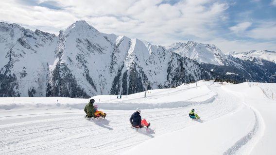 Ahorn (Mayrhofner Bergbahnen AG)
