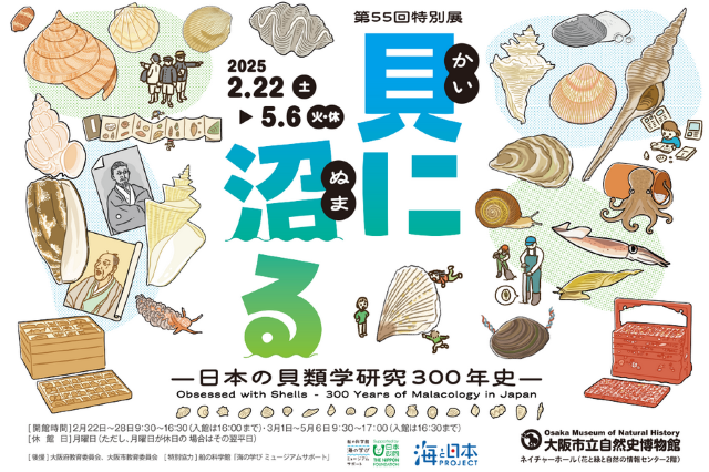 55th Special Exhibition "Into Shells: 300 Years of Shell Research in Japan" | Osaka Museum of Natural History