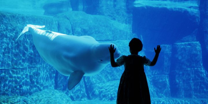 Vancouver Aquarium