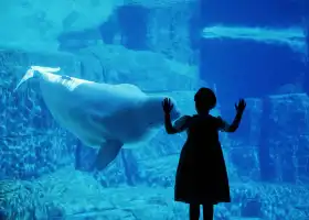 Vancouver Aquarium