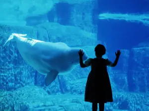 Vancouver Aquarium