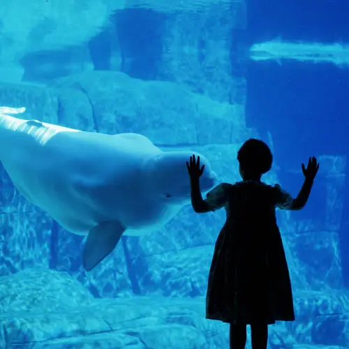 Vancouver Aquarium