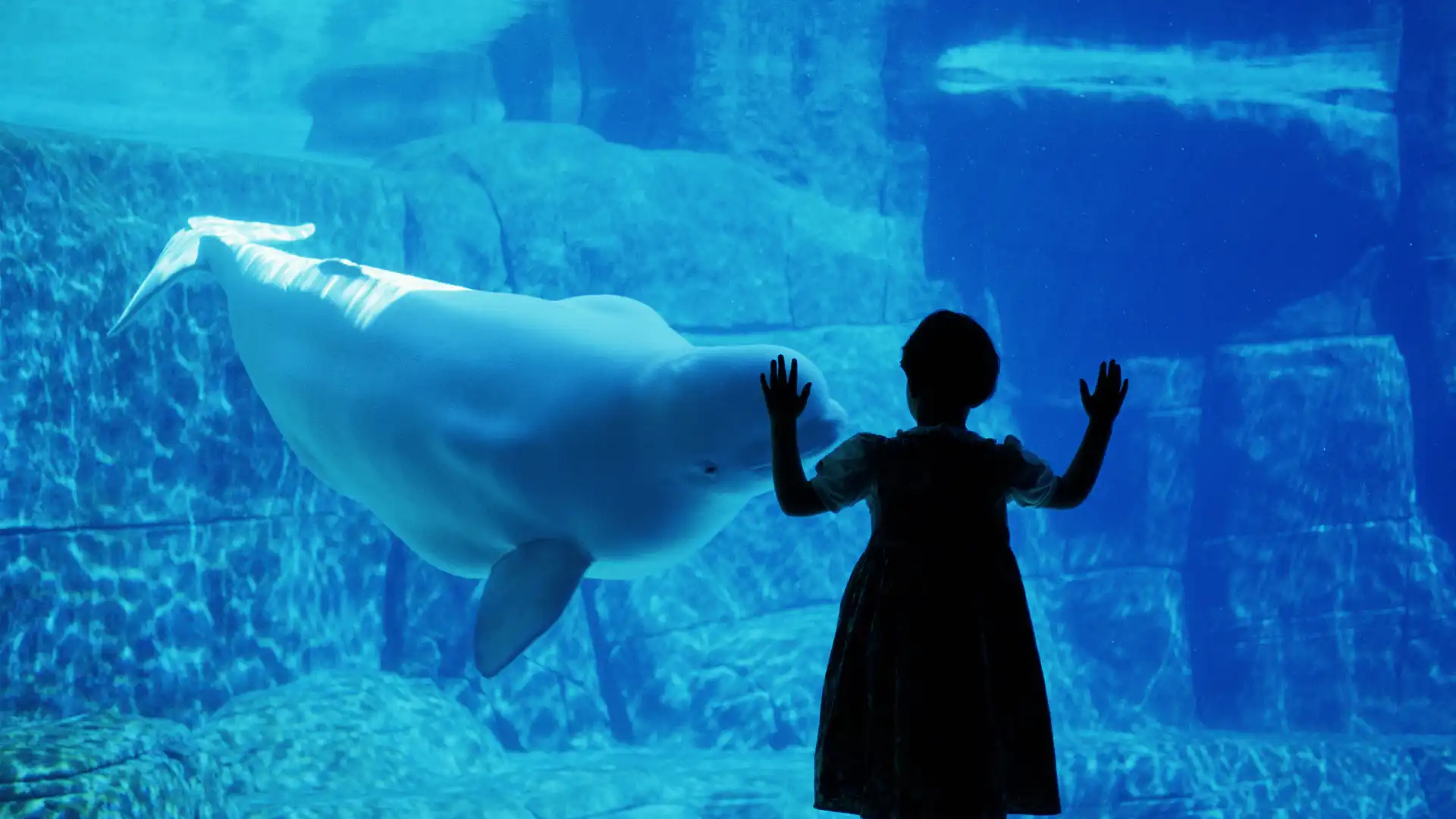 鄰近溫哥華水族館的酒店