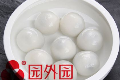 園外園湯糰(湖塘店)