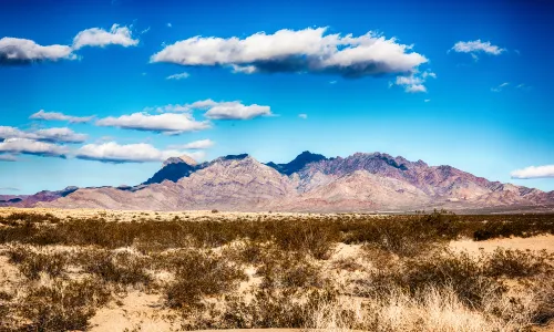 Deserto del Mojave