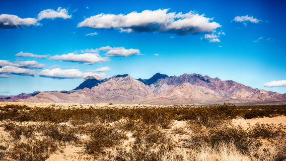 Mojave Desert