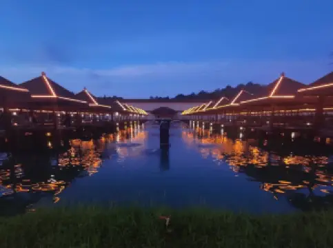 Monkeys Canopy Resort