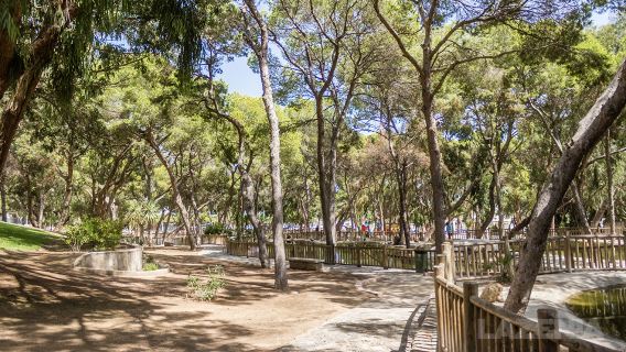 Reina Sofia Park