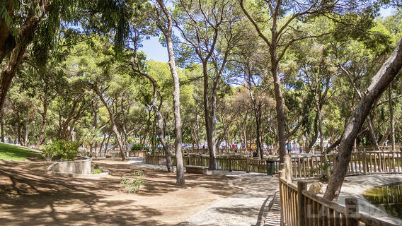 Reina Sofia Park