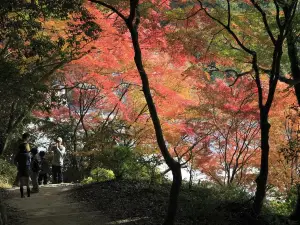Dazaifu Tenmangu Shrine