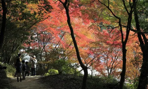 Dazaifu Tenmangu Shrine