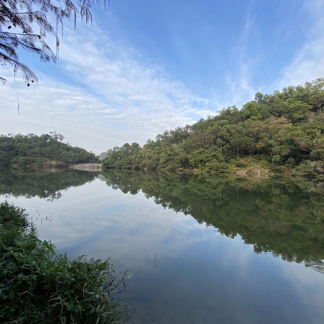 粉嶺流水響水塘 | 來回僅需一個半鐘，大人細路郊外好去處！
