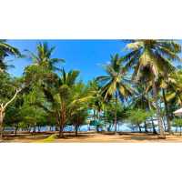 Natural Damas Beach